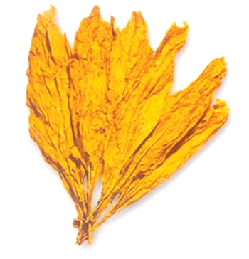 Gujarat Beedi Tobacco